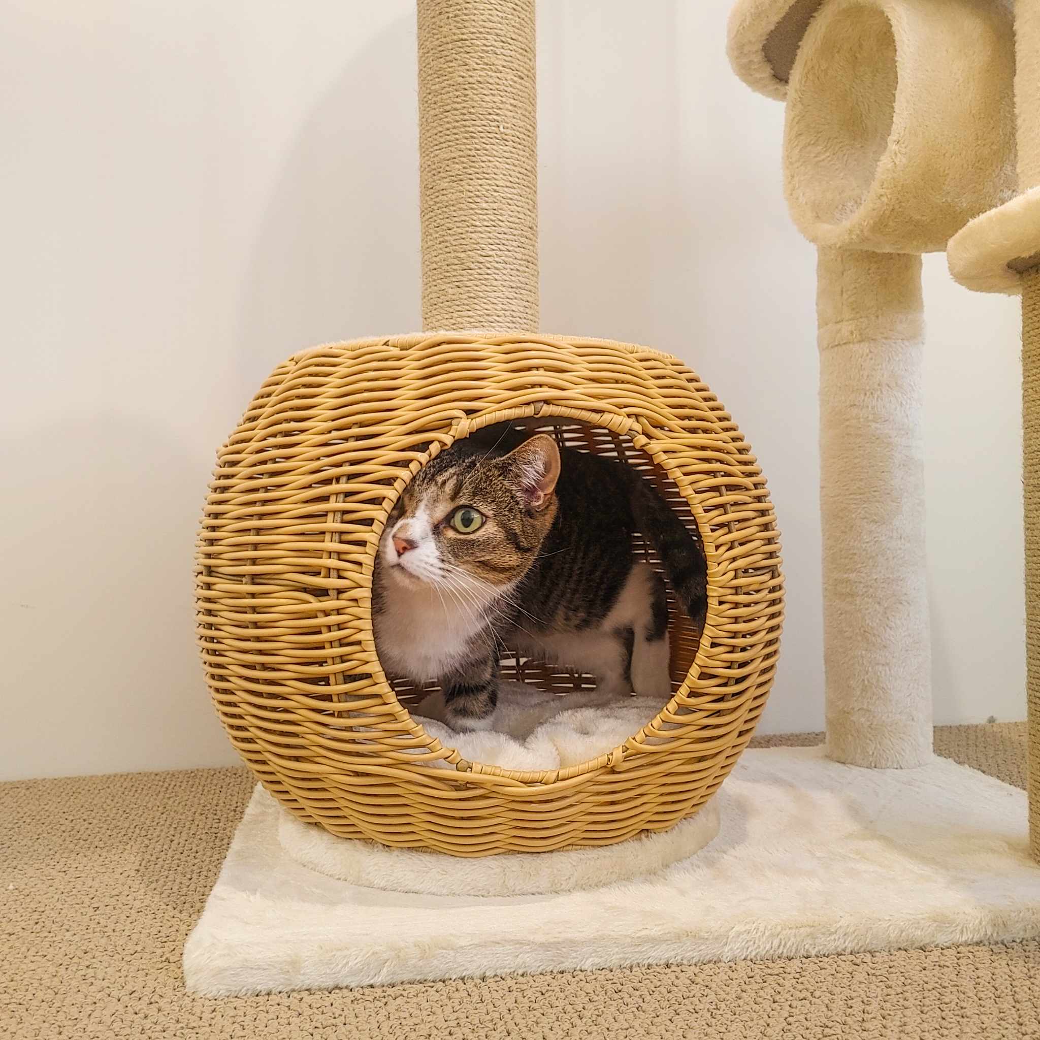 138cm Rattan Cosy Hideaway Cat Tree