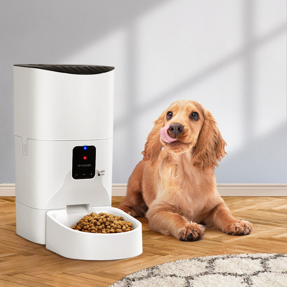 Feed your cat with an automated pet feeder