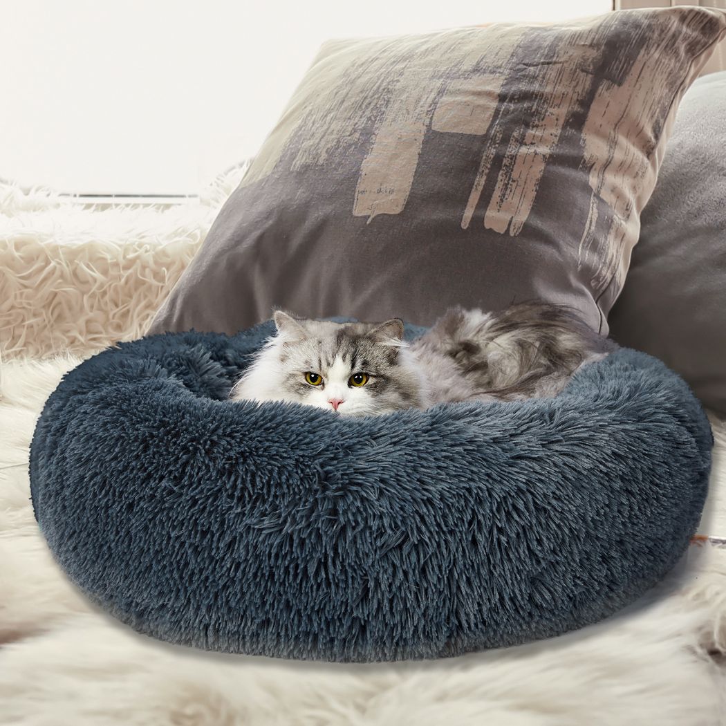 cat bed australia