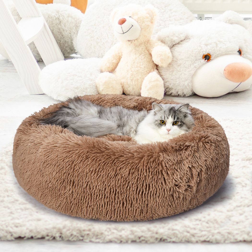 cat furniture cat bed