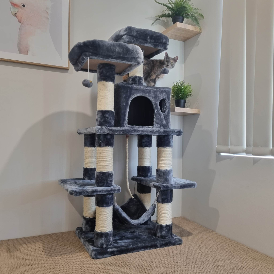 Sturdy cat tree with thick posts