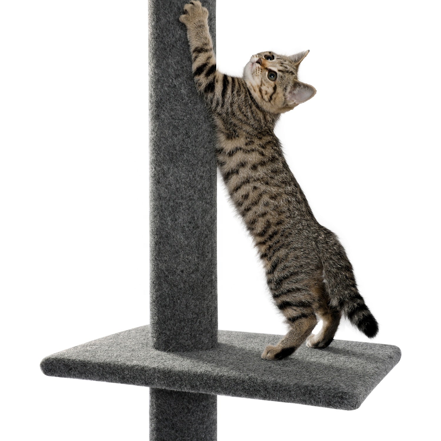 Three Tier Floor-To-Ceiling Cat Climbing Tree - The Cat Den