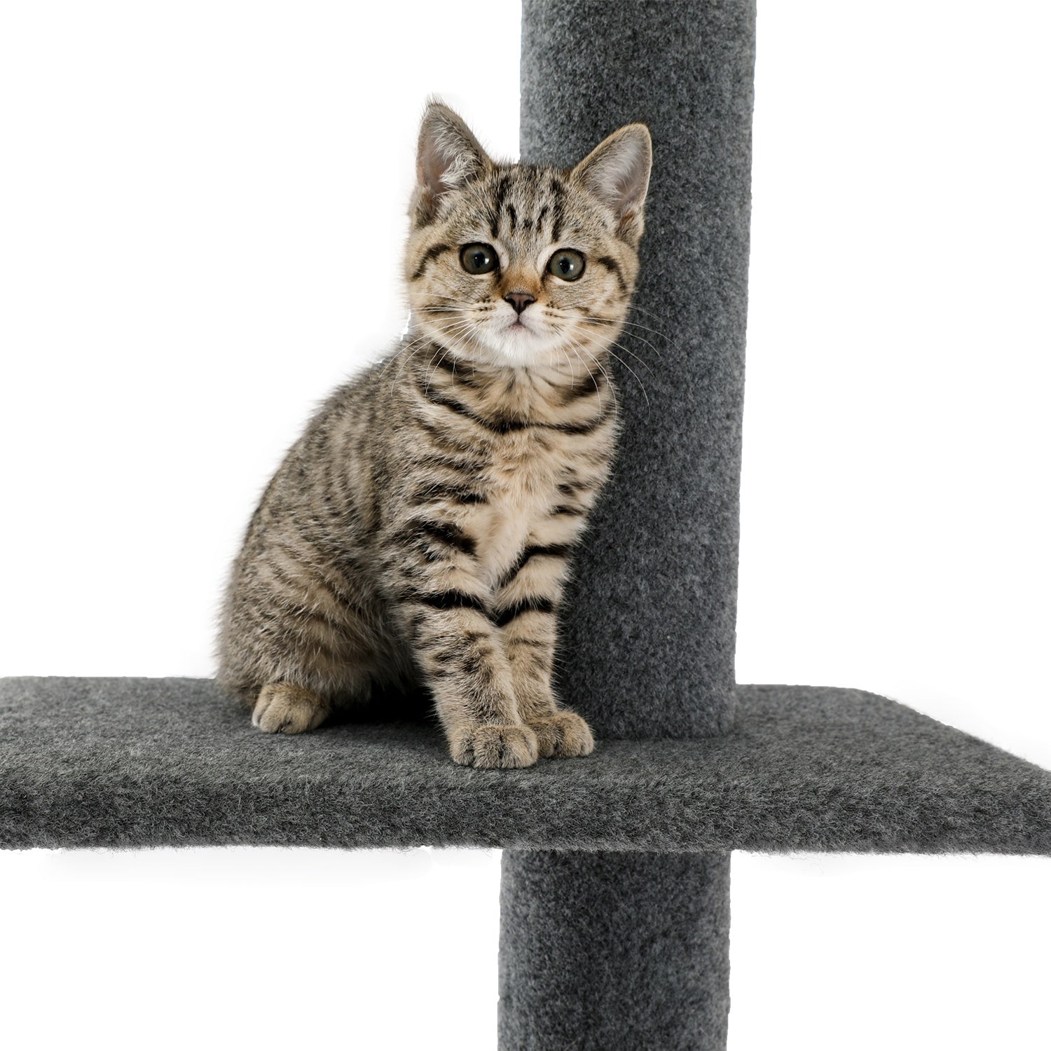 Three Tier Floor-To-Ceiling Cat Climbing Tree - The Cat Den