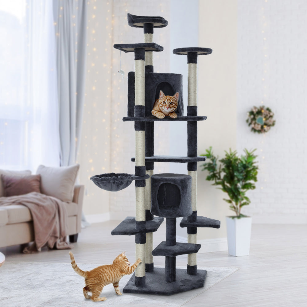 203cm Cat Tree - Multi Level With Pouch Hammock - The Cat Den