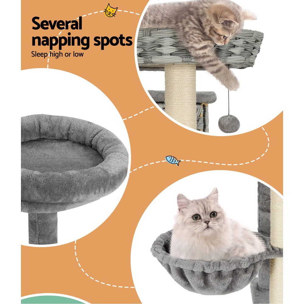 Wicker cat bed hot sale with scratch post