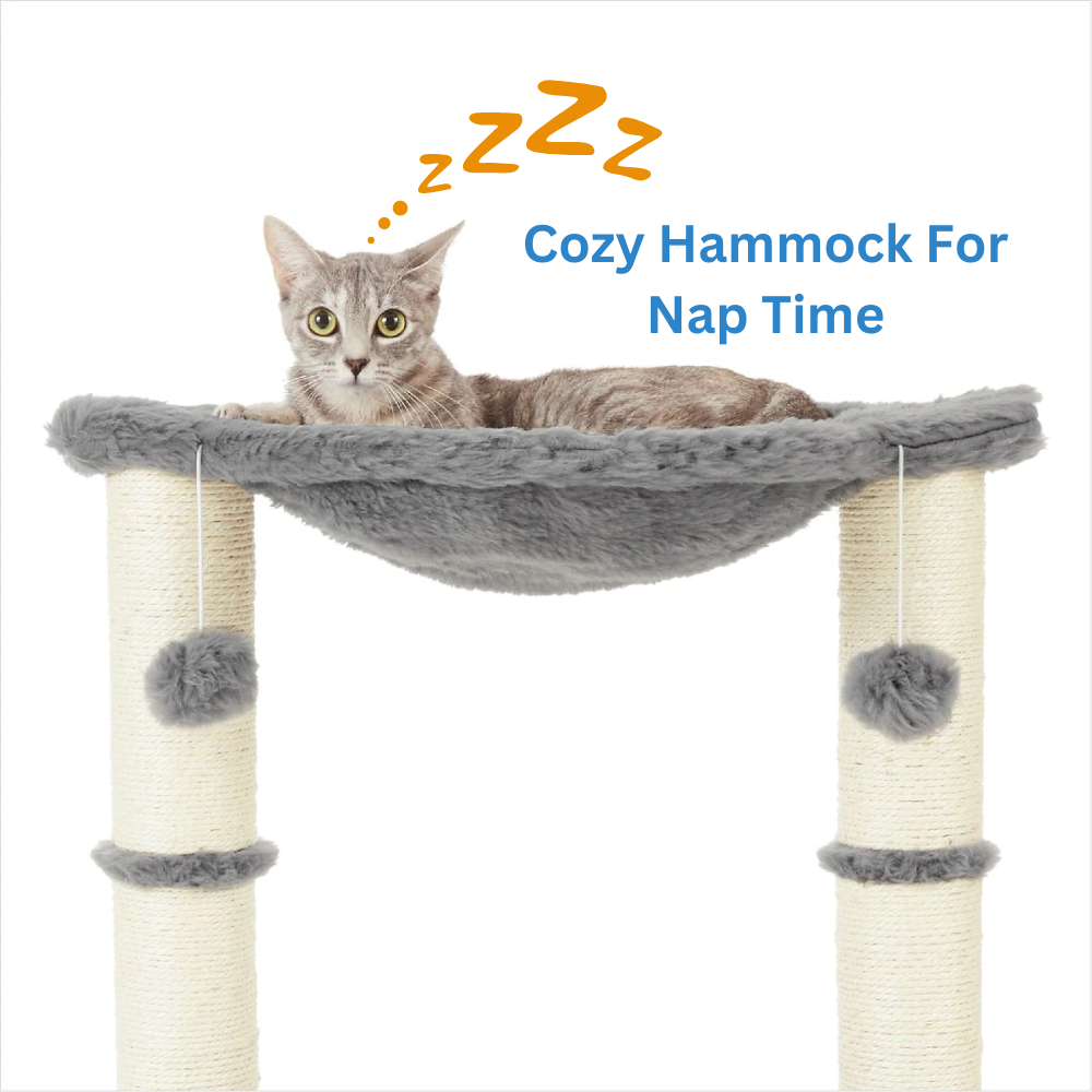 cat hammock bed